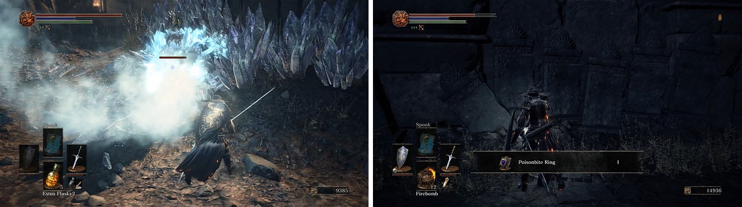 Behind the Ravenous Crystal Lizard is a hidden area with the Poisonbite Ring.