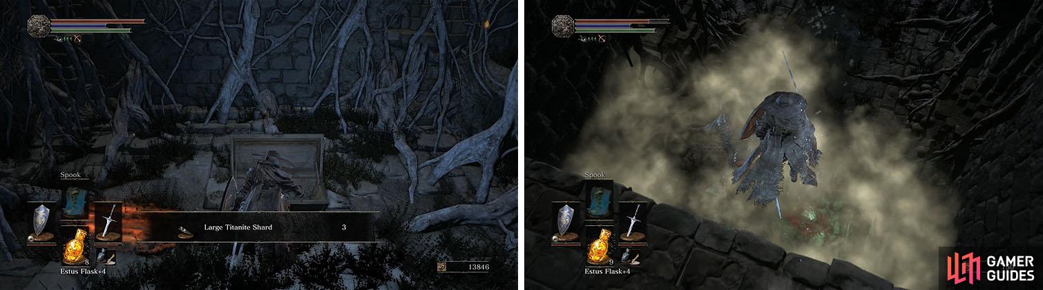 The hidden path reveals a chest with some shards, but behind that is another hidden path that leads to the area above the basilisks.