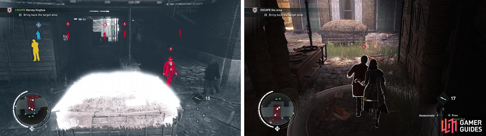 Use the haystack to kill the patroller (left). Hop out, grab the target and escort him from the area (right).