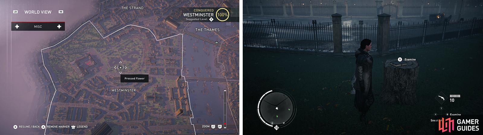 The Pressed Flower icon on the world map (left) and what they look like in-game (right).