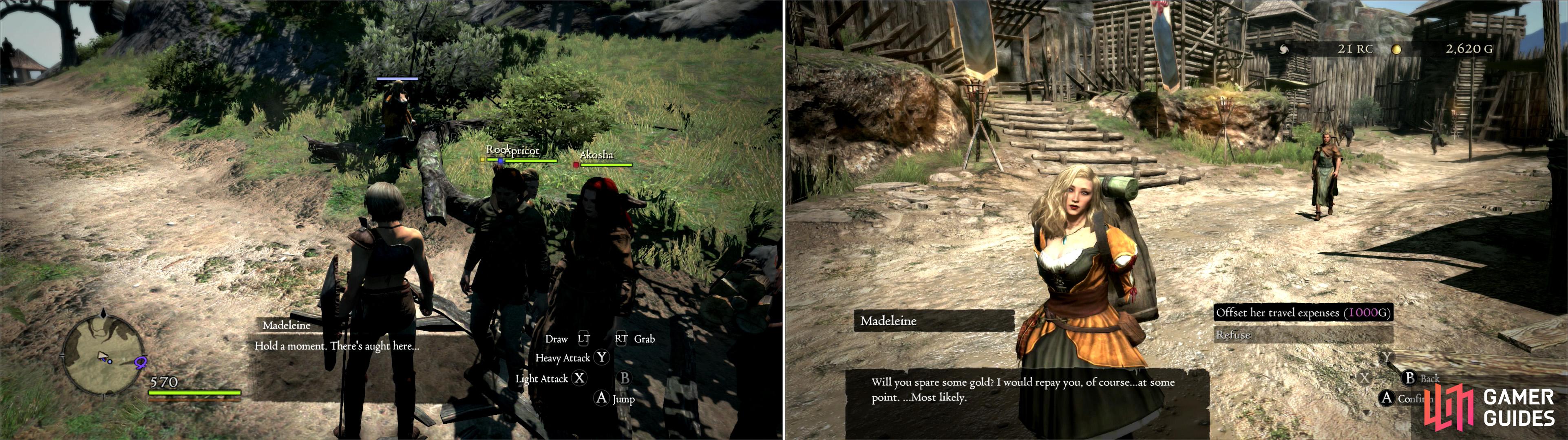 Human Resources achievement in Dragon's Dogma: Dark Arisen