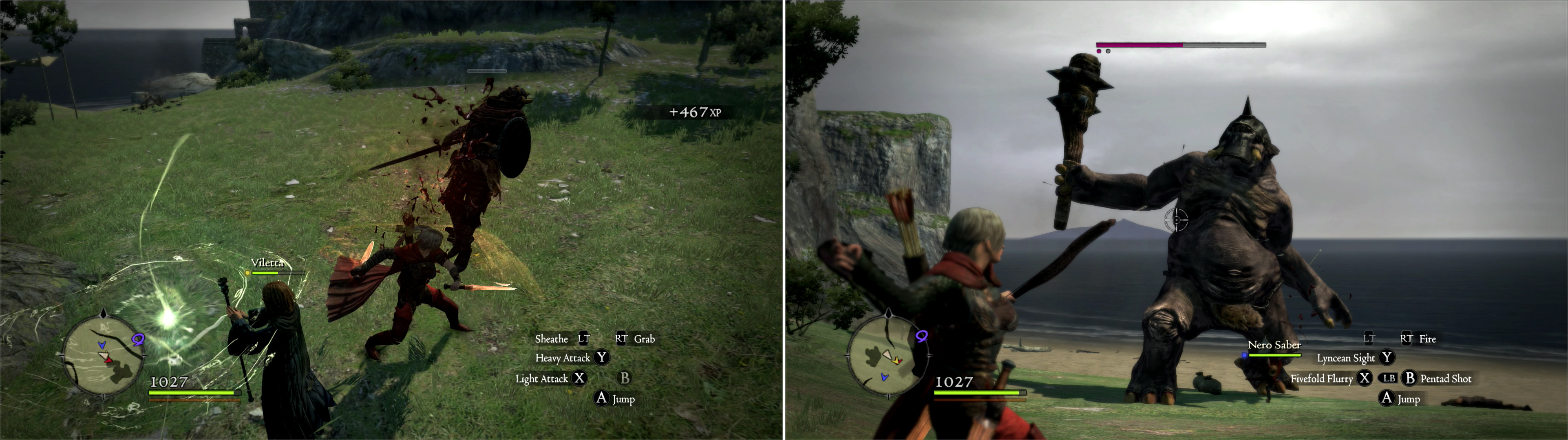 I think this is the cruelest thing you can do in Dragon's Dogma. What did  the poor guy ever do to you? : r/DragonsDogma