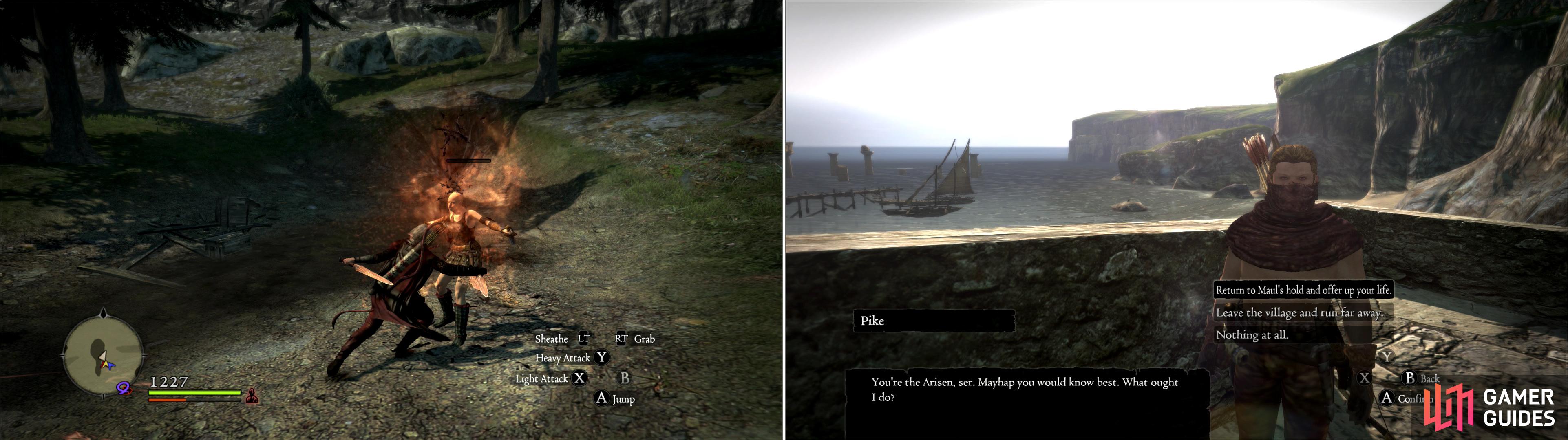 I think this is the cruelest thing you can do in Dragon's Dogma. What did  the poor guy ever do to you? : r/DragonsDogma