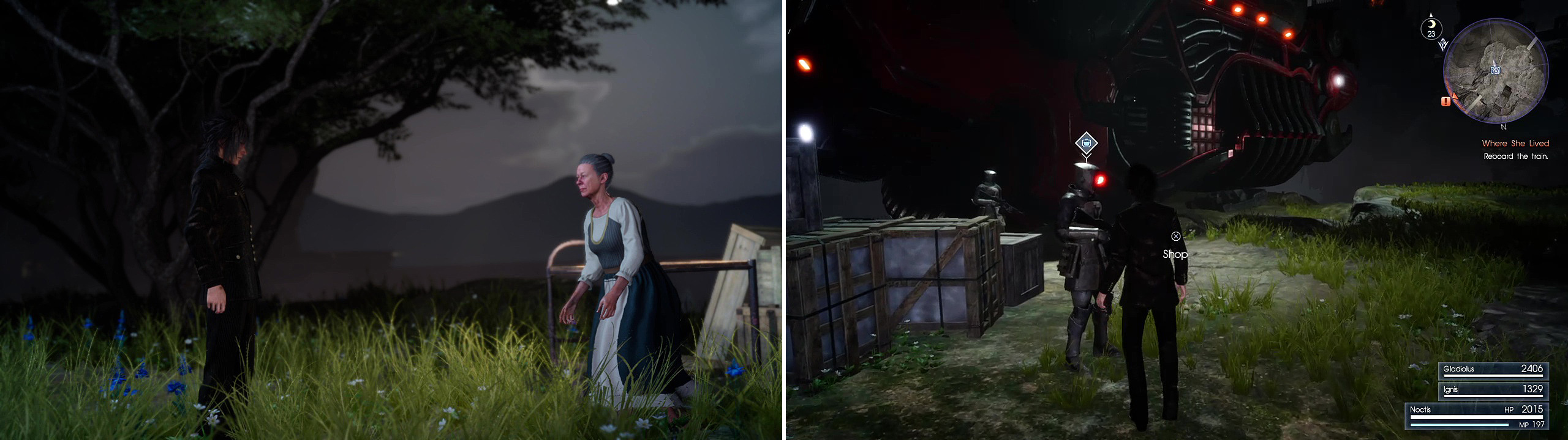 Speak to the House Fleuret retainer (left) to learn more about Luna and then don't forget to shop for healing items before setting out (right).