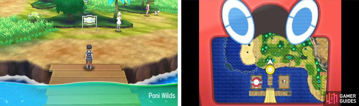 Poni Wilds is your first taste of the harsh Poni Island.