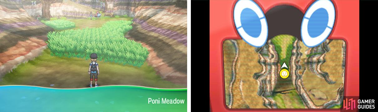 Poni Meadow is where you can get a Sensu Style Oricorio.