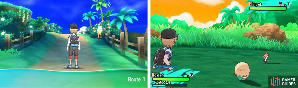 Pokemon: Mapping the Alola Region by Saving Sunday Night