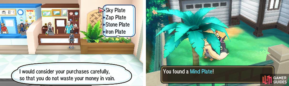 The plates can be given to Pokemon besides Arceus too.