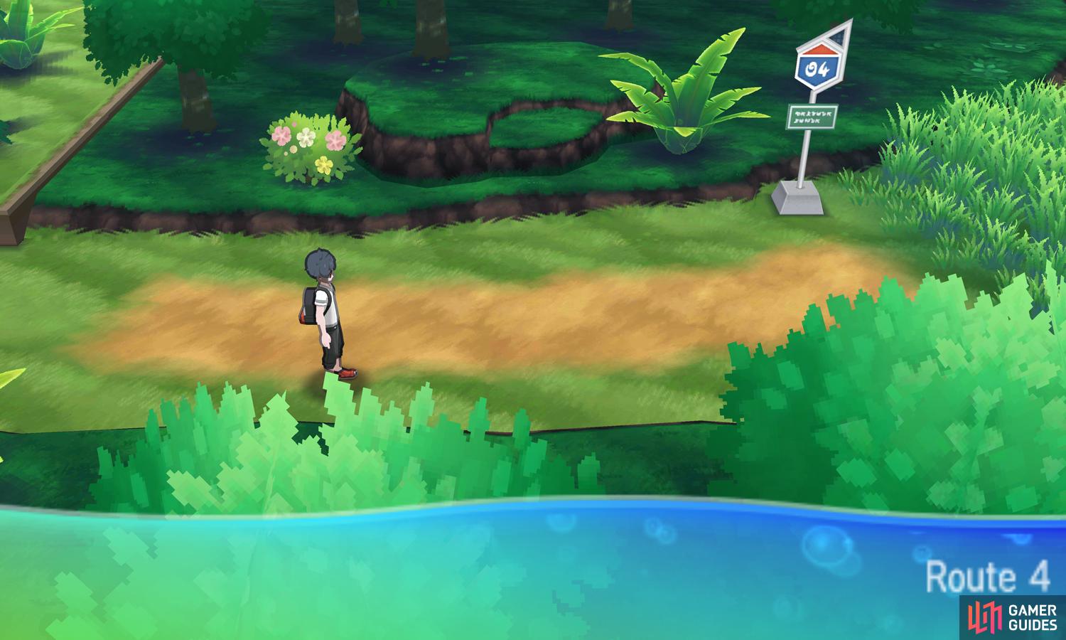 Your first opportunity to catch Pokémon on Akala Island!