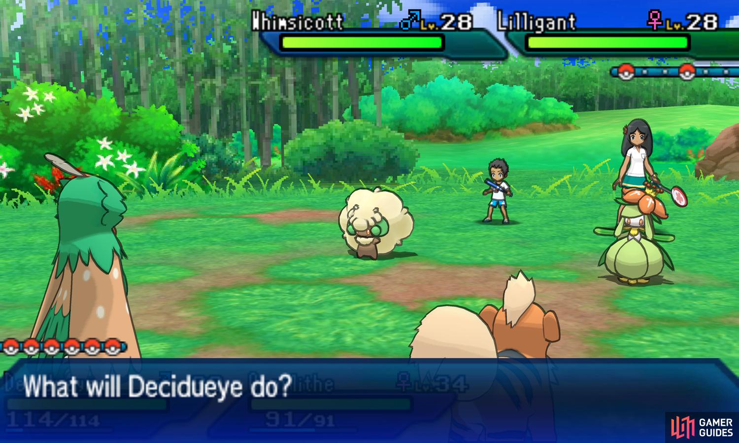 Route 11 Ula