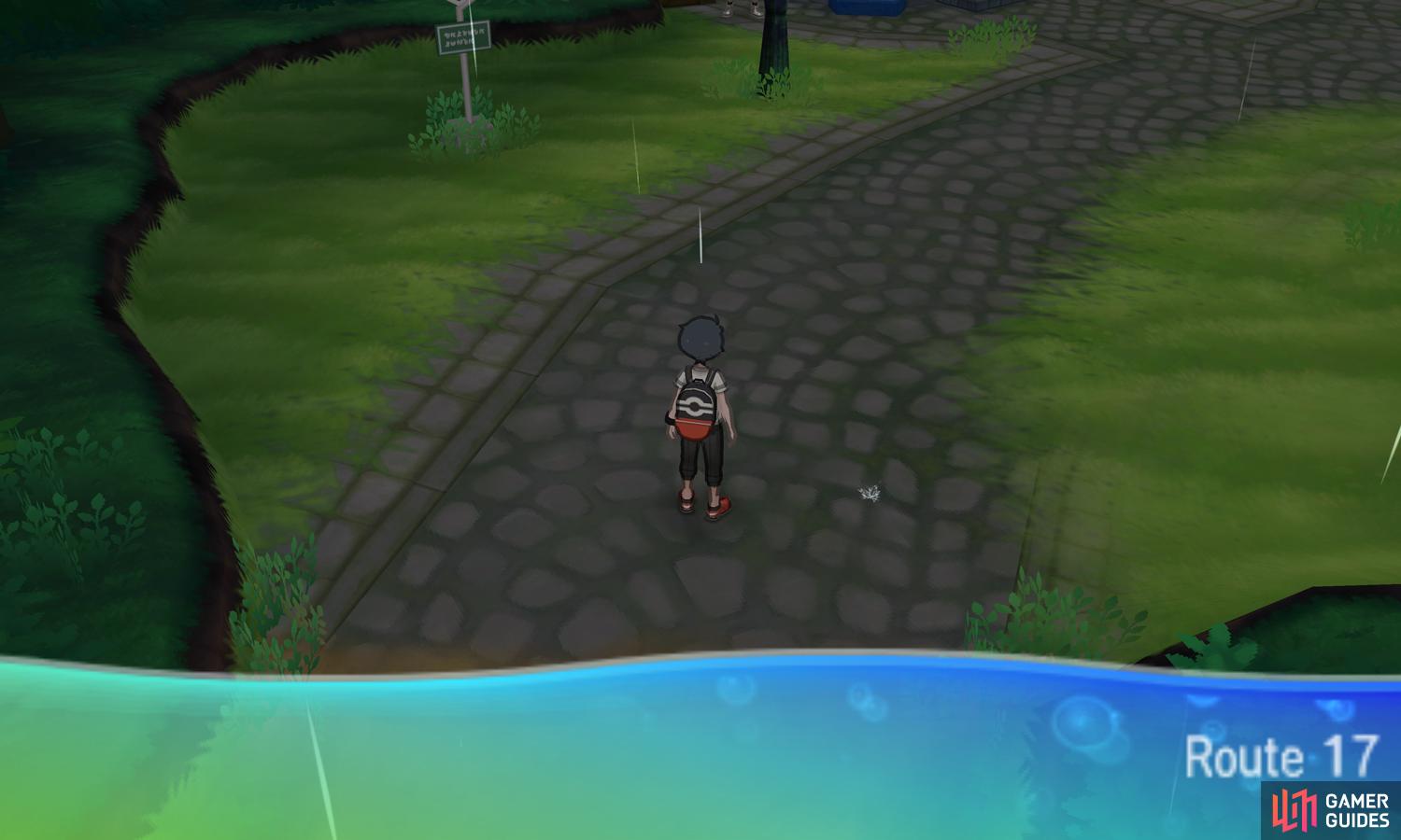 This area is patrolled by Team Skull, so be on your guard.