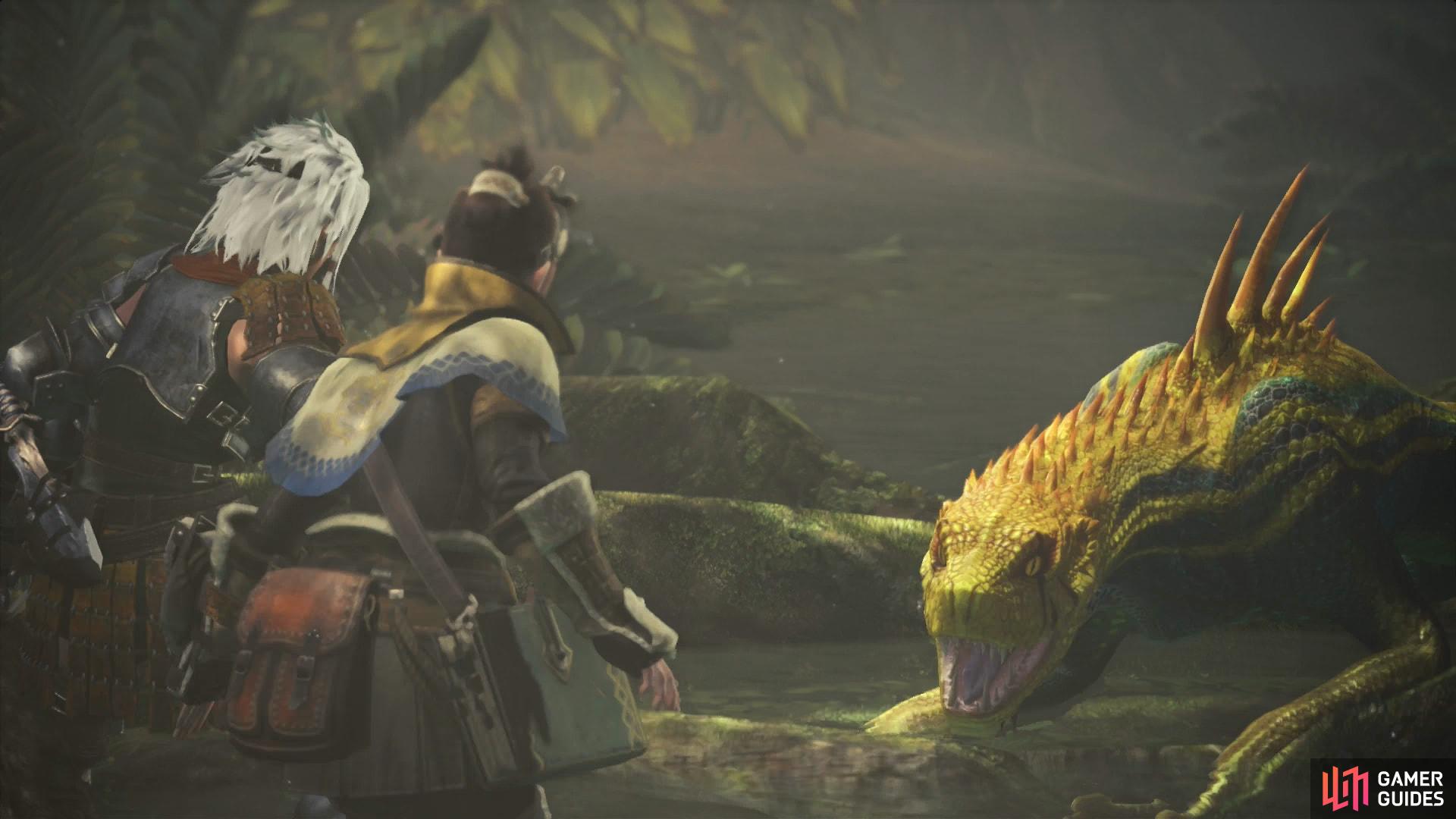 In the interior of the Ancient Forest youll be accosted by a pack of Jagras