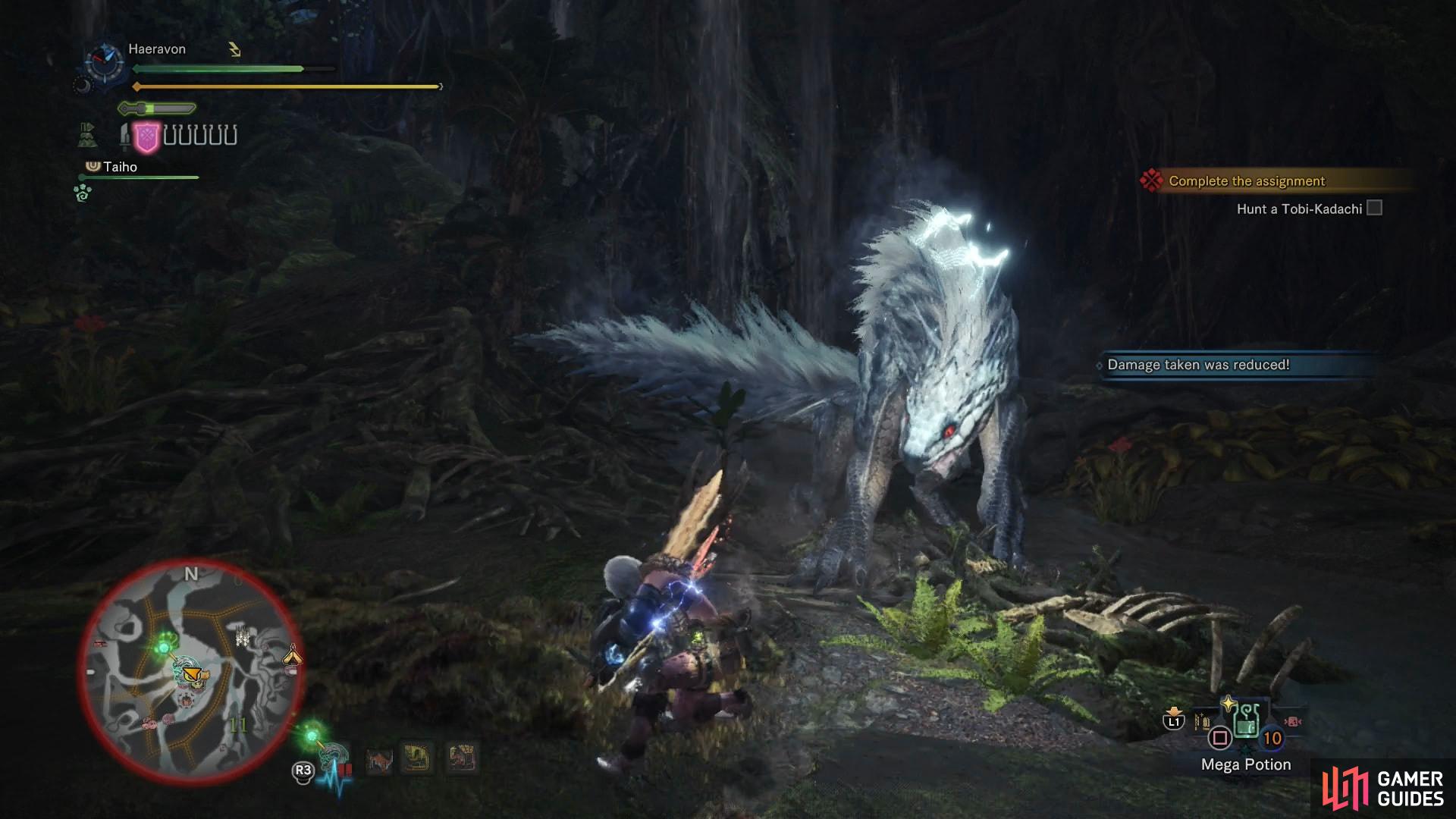 When enraged, the Tobi-Kadachi will charge itself up