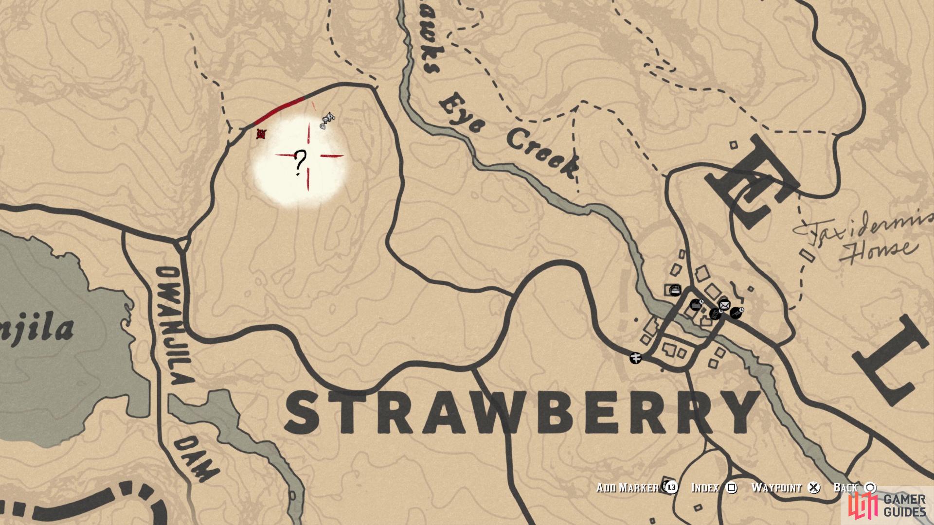 - Stranger - Side Missions | Dead Redemption 2 Gamer Guides®