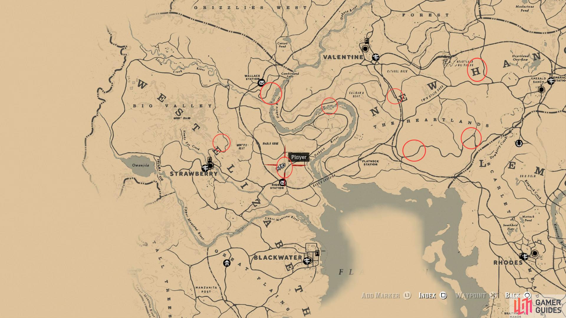 All Red Dead Redemption treasure hunting locations