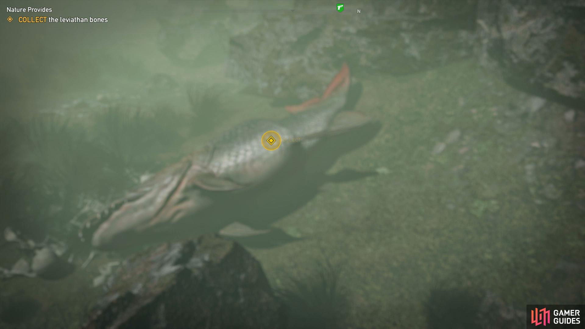 Youll want the Human Fish Perk so that you can swim under without any worries.