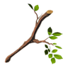 Breath_of_the_Wild_tree_branch_icon.png