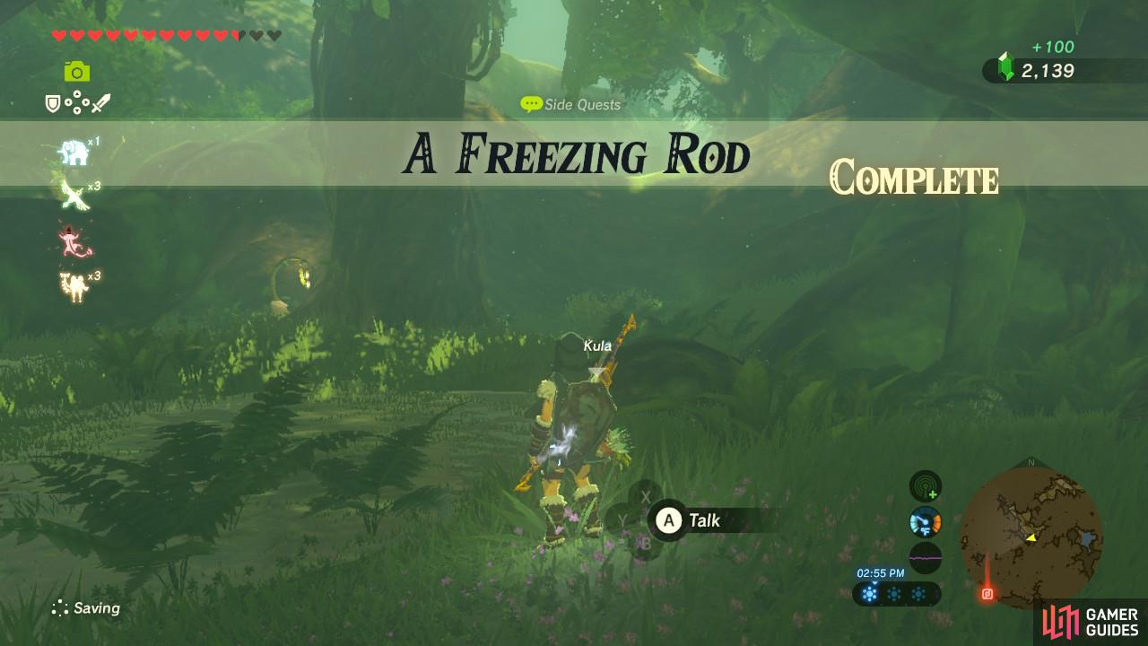 If your weapons inventory is full, you can drop the Ice Rod now
