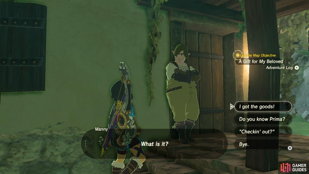 A Gift for My Beloved Hateno Region Side Quests The Legend