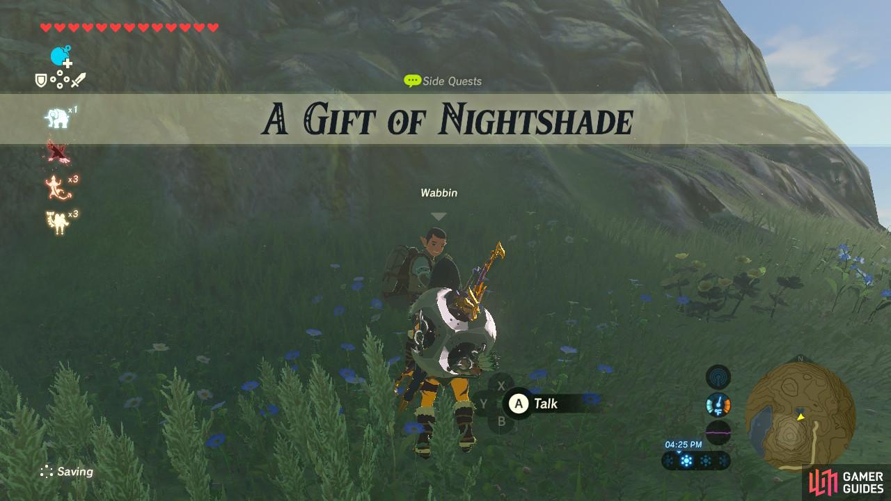This sidequest is extremely easy