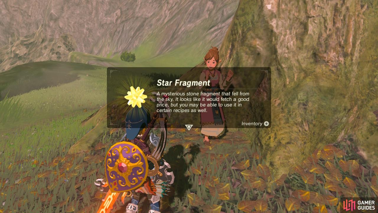 You will receive a rare, precious Star Fragment