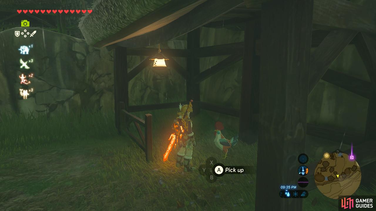 This is the Cucco inside a shed