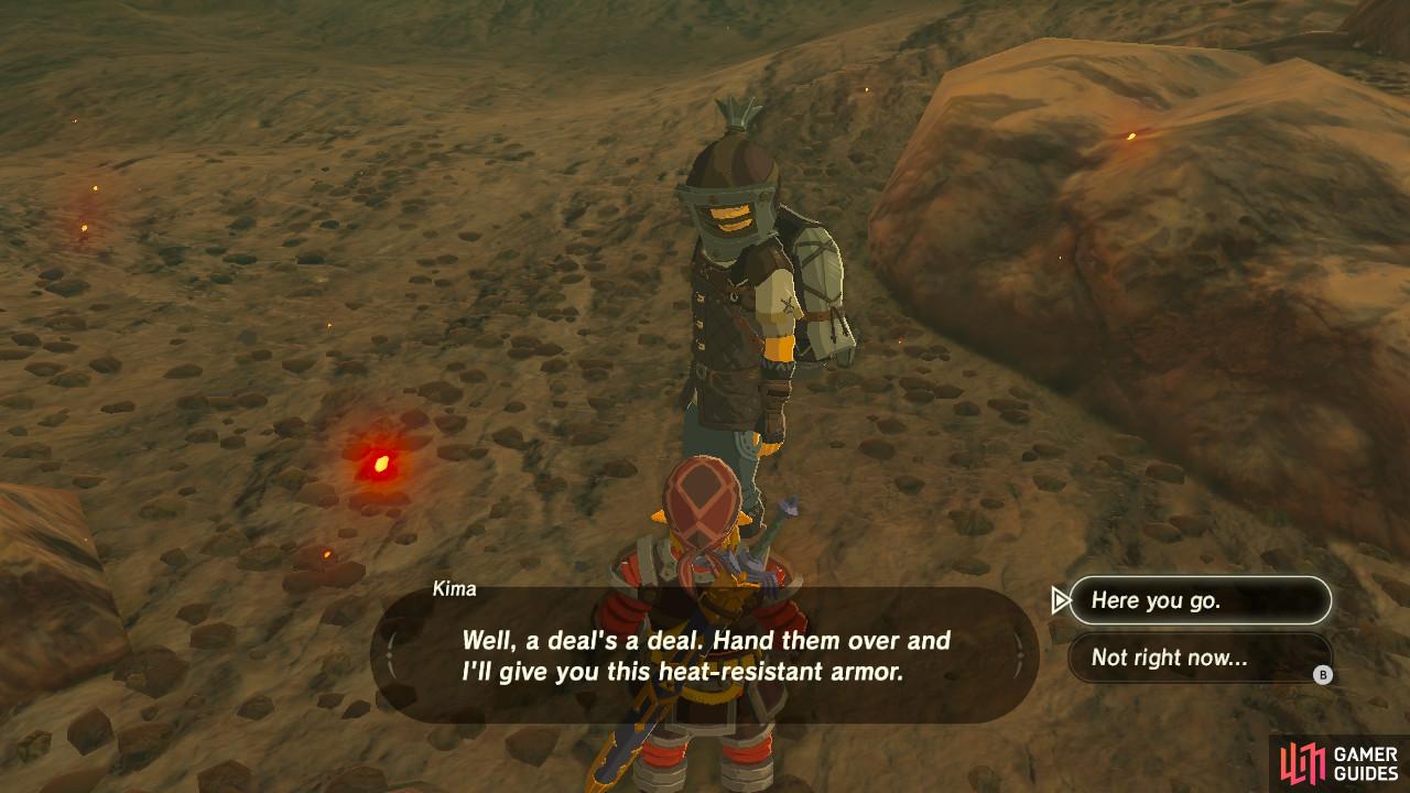 That's 10 Fireproof Lizards I could use to upgrade my armor…