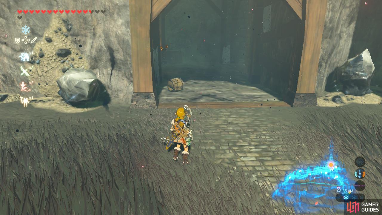 The cliffs right at the entrance of the Docks have a back entrance leading into Hyrule Castle's Lockup