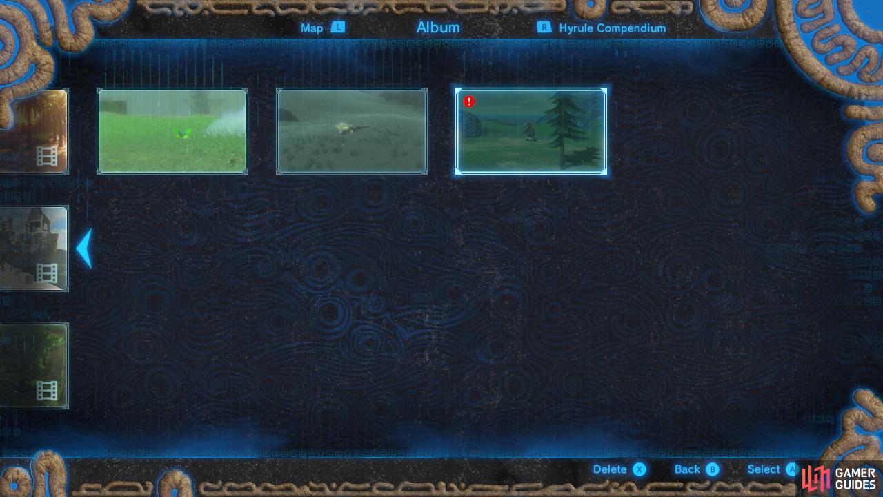 The photo has to be in your album, not just your Hyrule Compedium