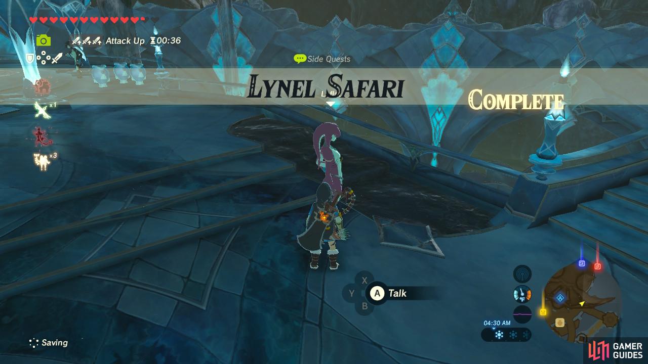 Now you have two of the three pieces of the Zora Armor, and the last can be found on your own