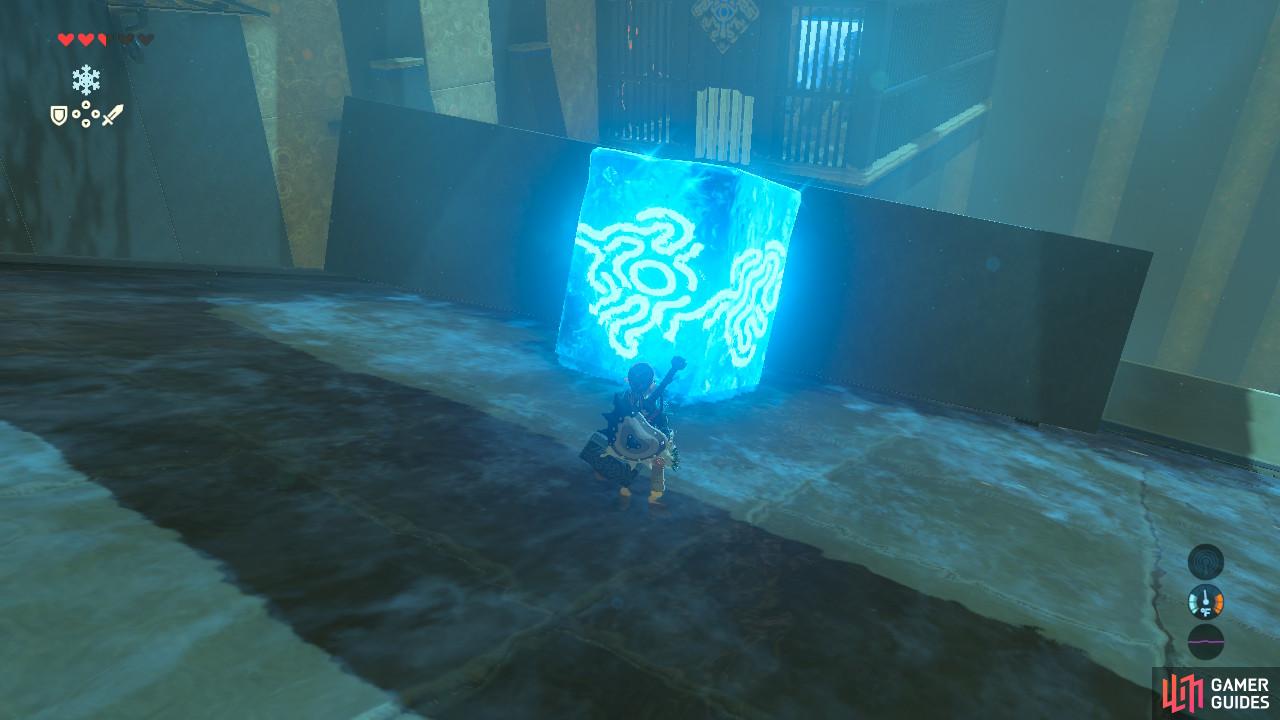 Place the ice block here