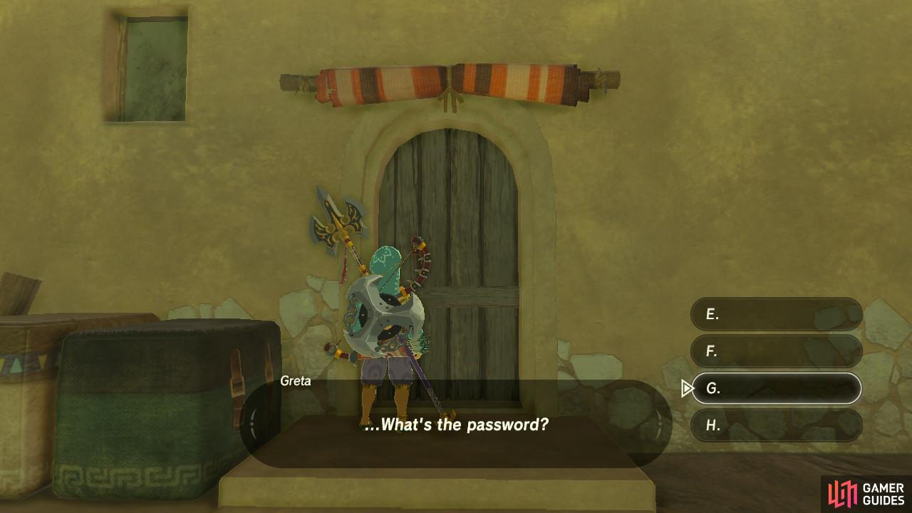 The Mystery of the Gerudo Secret Club (Breath of the Wild Theory) 