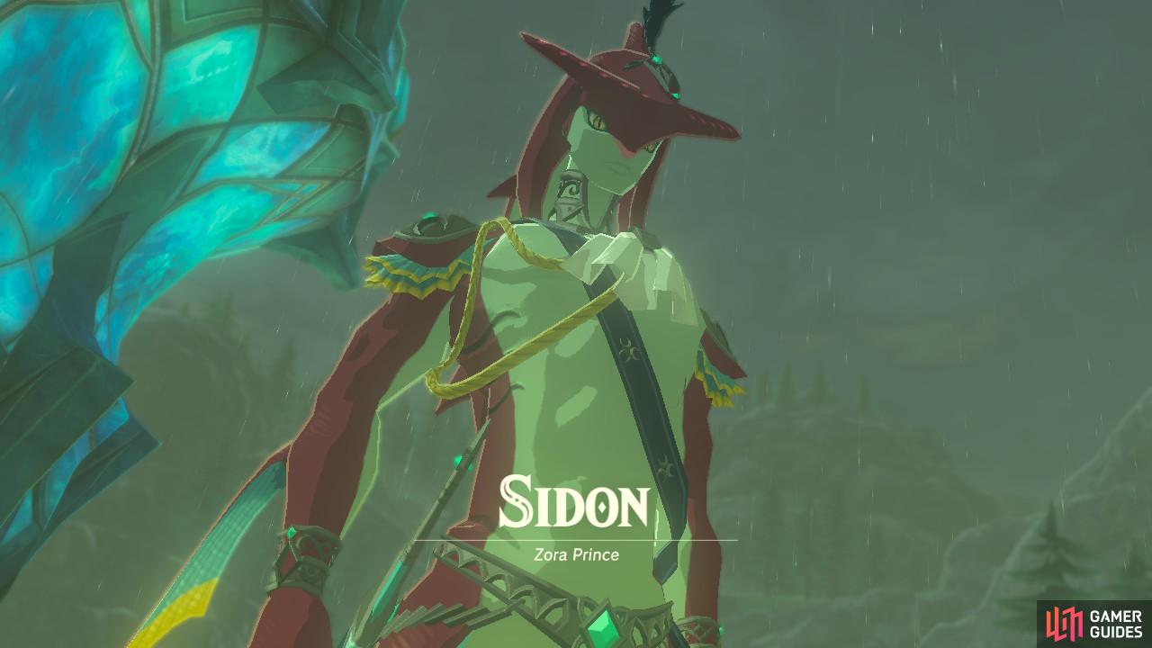 He will help get you to the Zora's Domain and, ultimately, the Divine Beast.