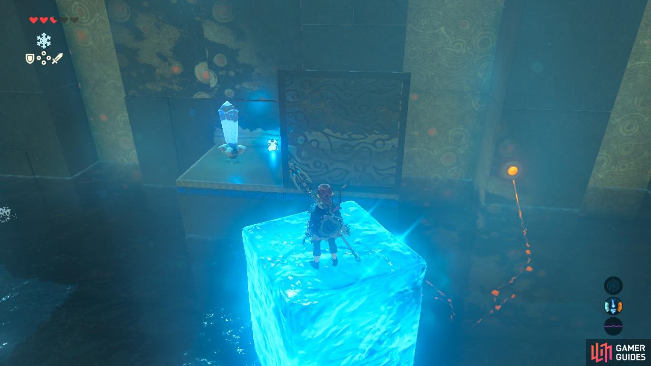 Throw the bomb so it lands right next to the switch. It will help us later