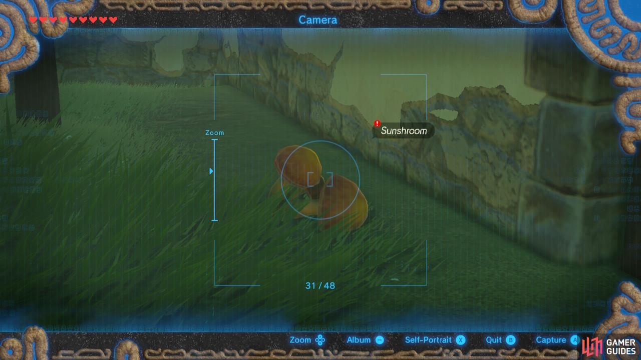 It is a tutorial for how to use your upgraded Sheikah Sensor