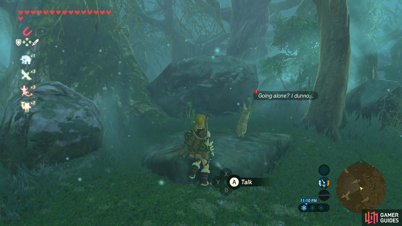 Talk to this lonely Korok in the Lost Woods