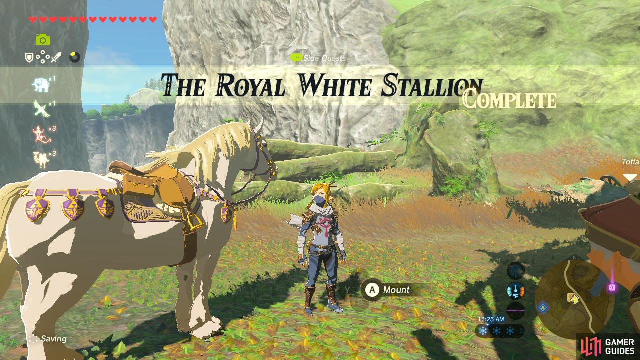 Zelda: Breath of the Wild guide: A Royal Recipe side quest