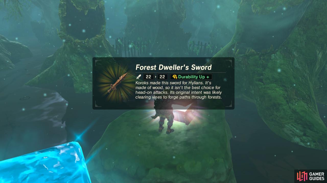 The chest on the rock contains another Forest Dweller's Sword