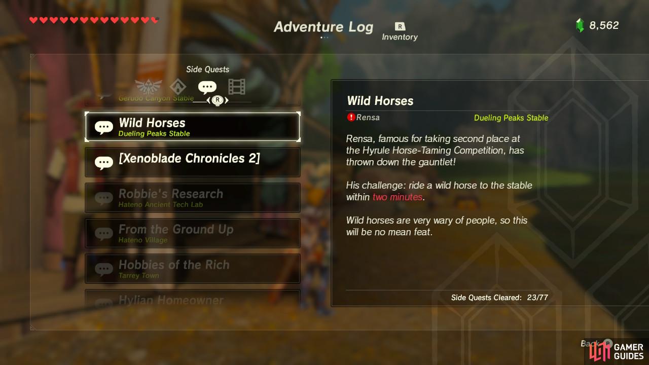 It is basically a tutorial for horse taming