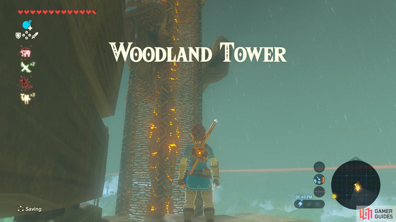 The Woodland Tower is west of the Eldin region.