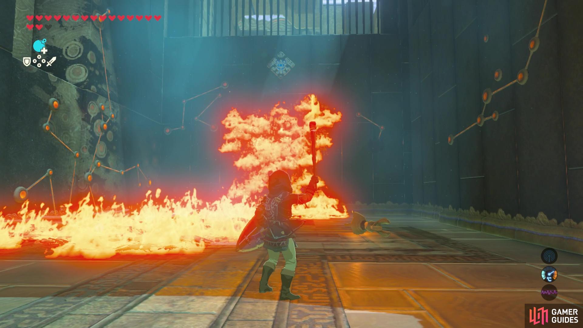 Use the fire to burn the leaves to reveal an entrance into the next area!