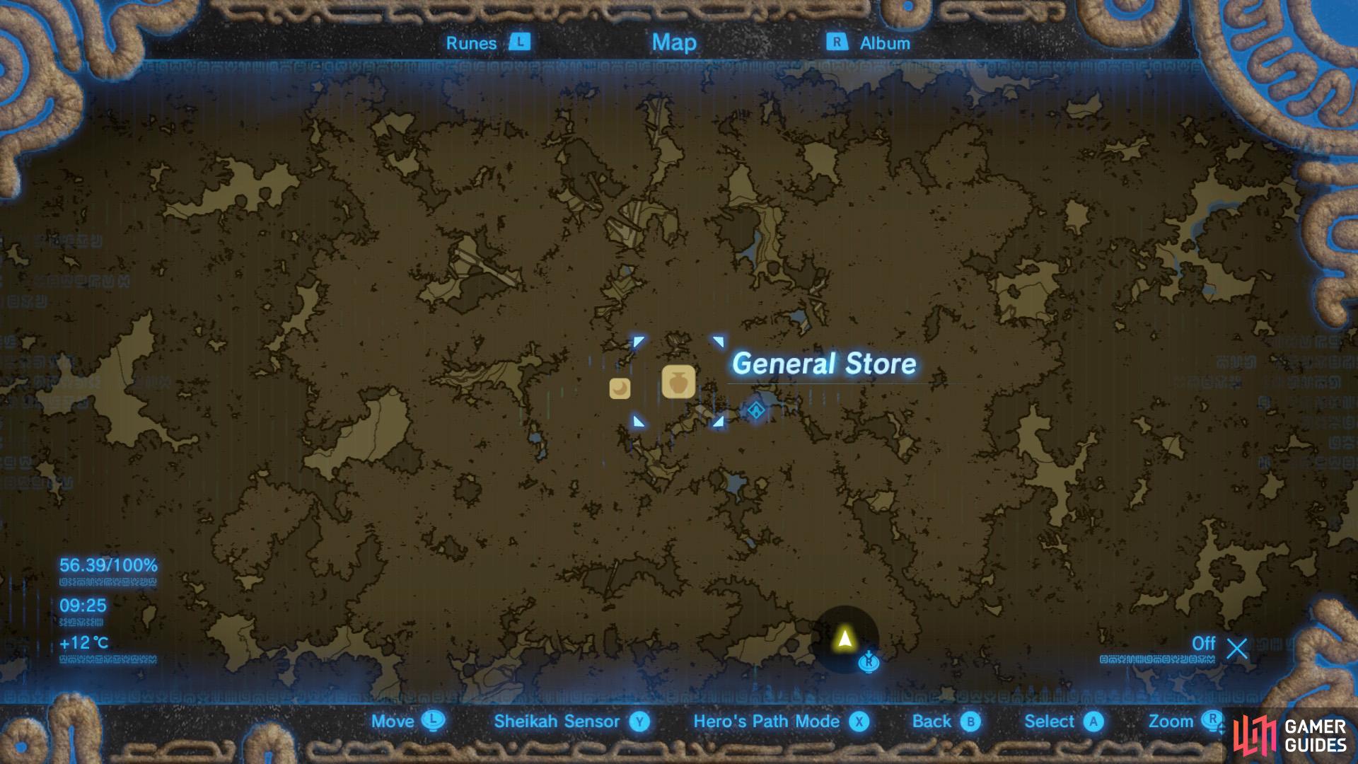 The General Store at Korok Forest.