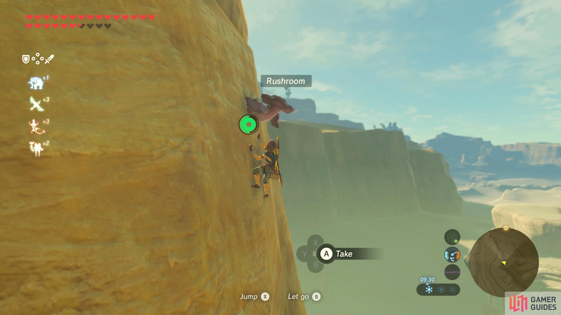 If you have lots of stamina, you can climb up towards the Gerudo Highlands.