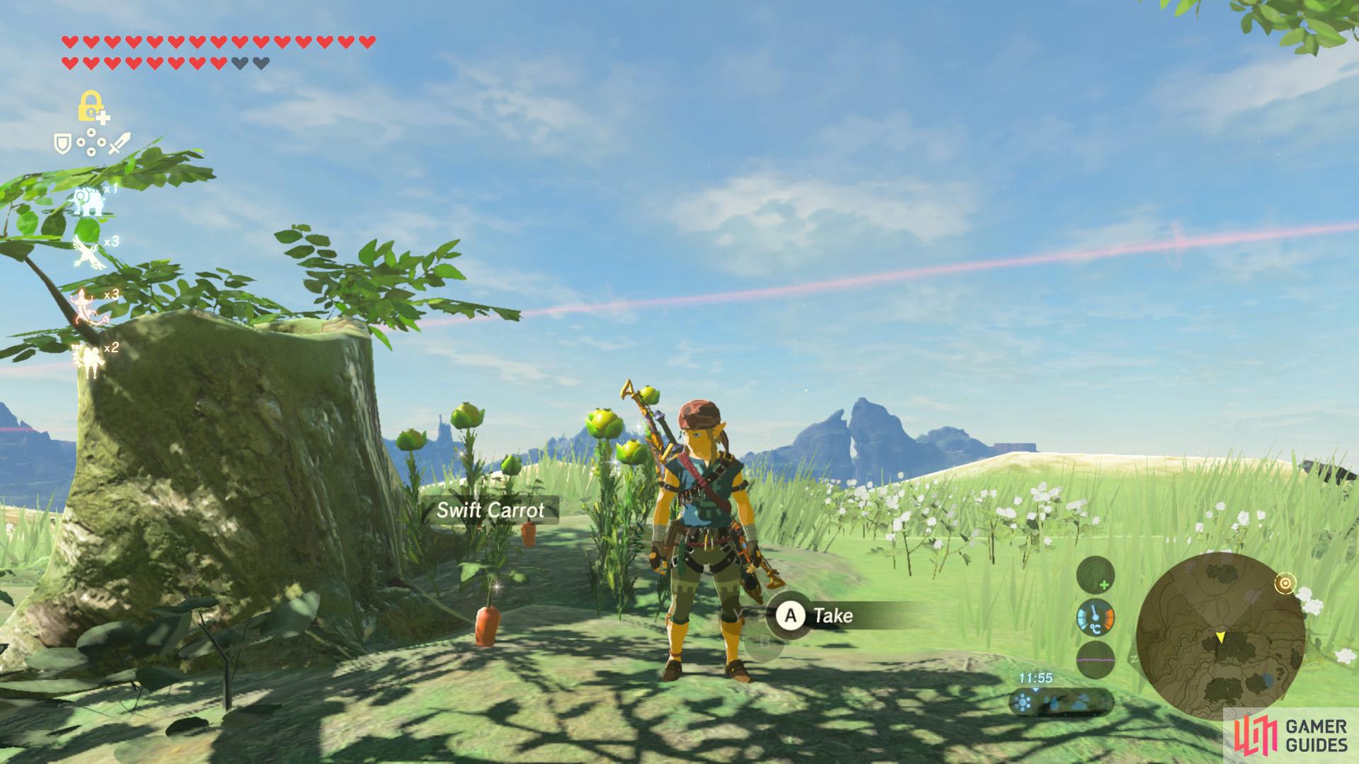 There are also many Hyrule Herbs nearby.