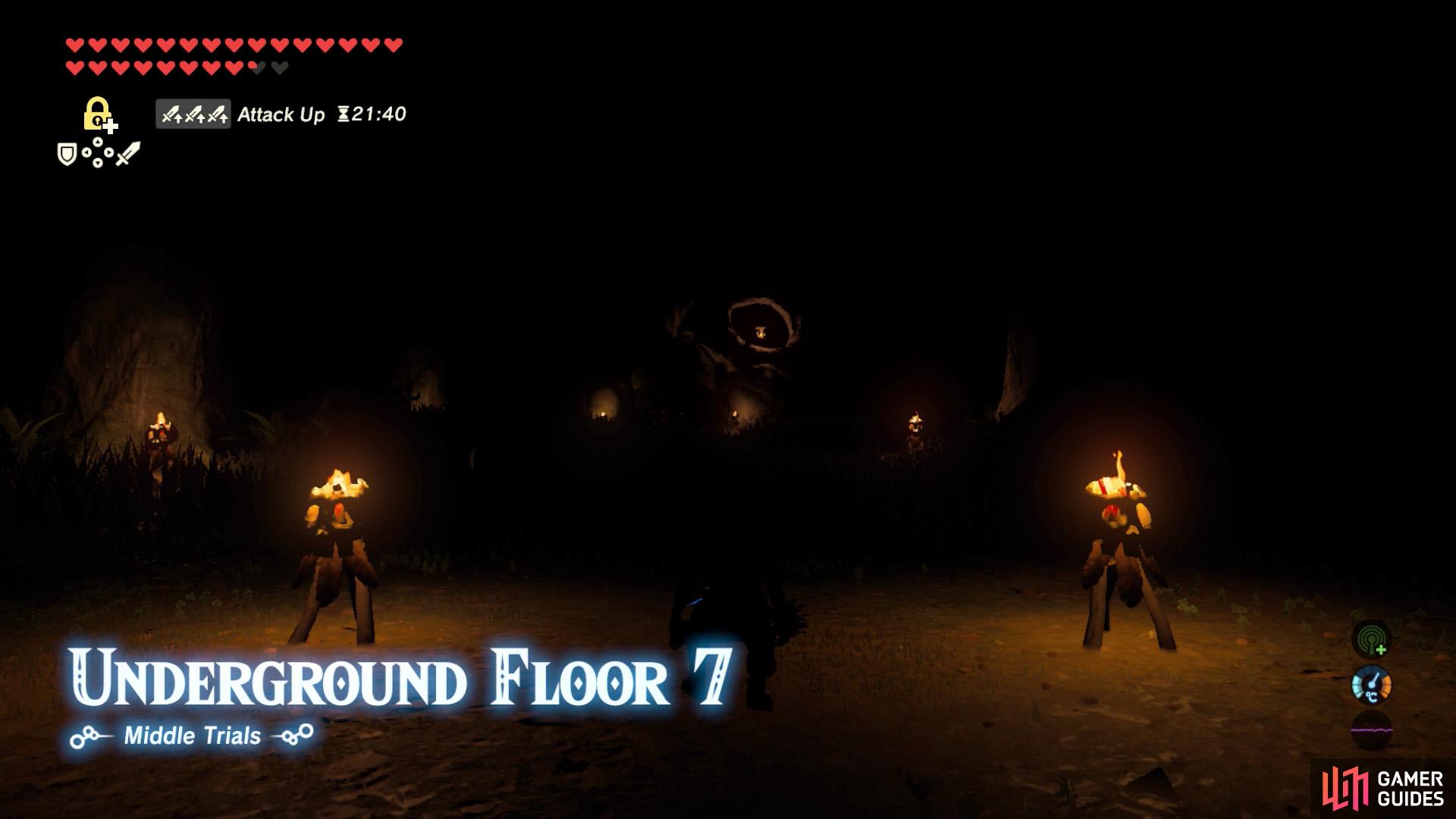 This floor requires you to fight four pesky Lizalfos in the dark.