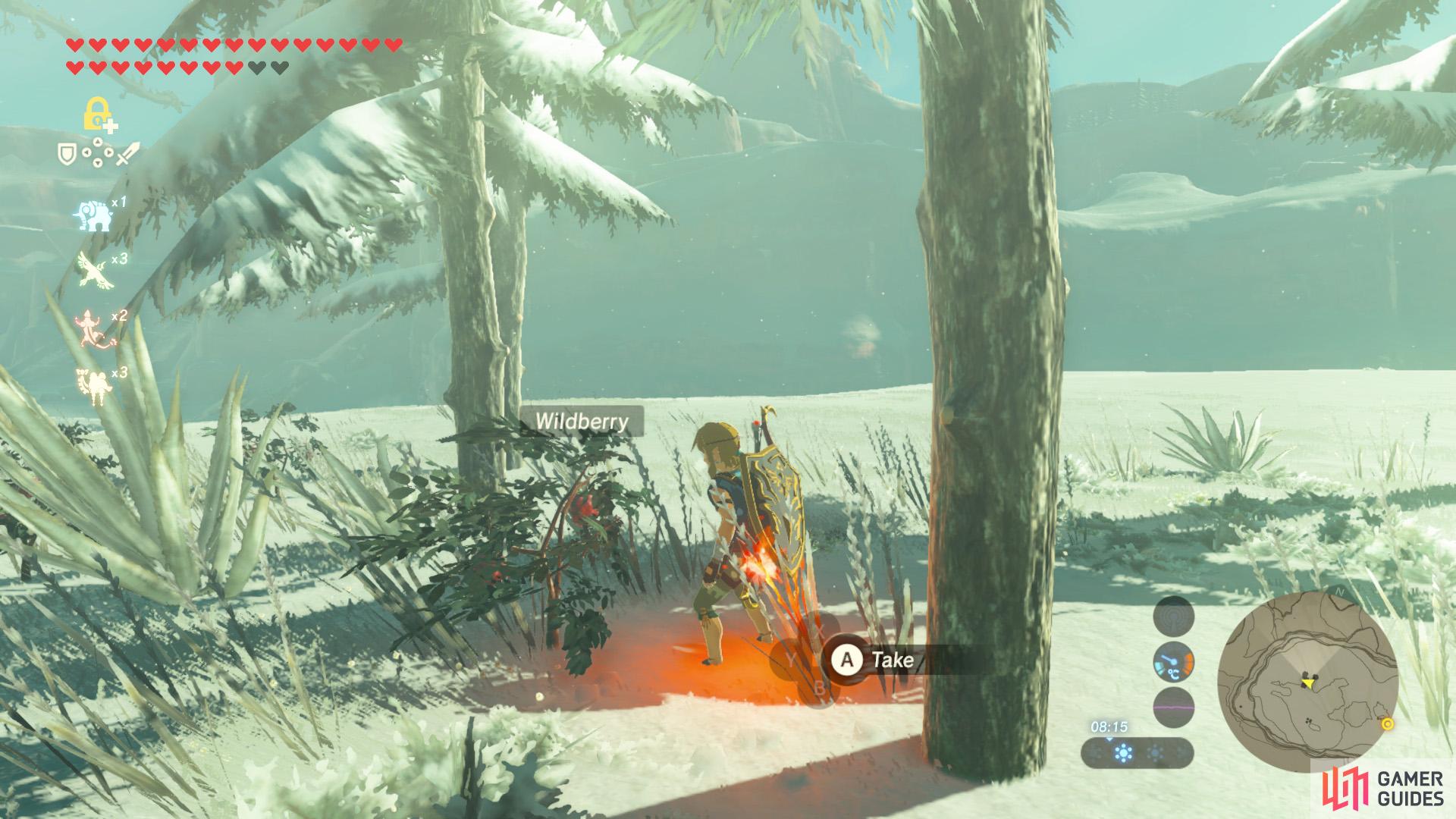 Wildberries Breath Of The Wild Wildberry - Fruit - Materials | The Legend of Zelda: Breath of the Wild