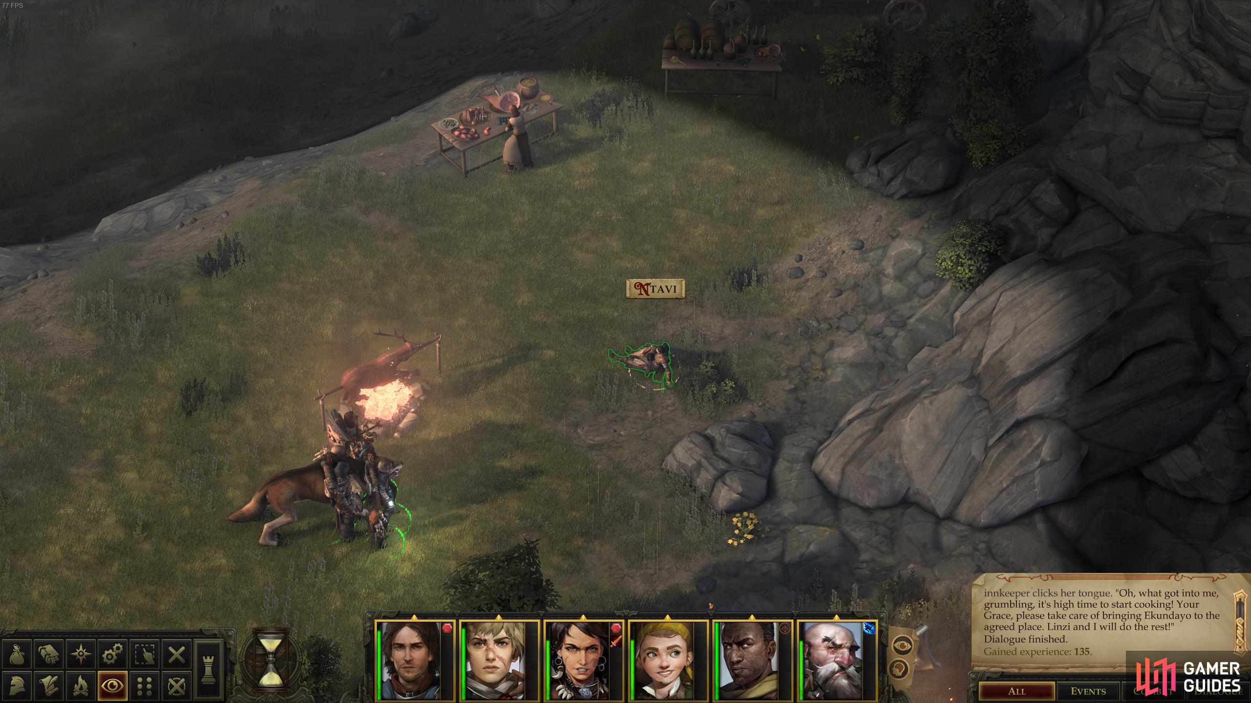 Pathfinder: Kingmaker – Amiri Builds - Neoseeker