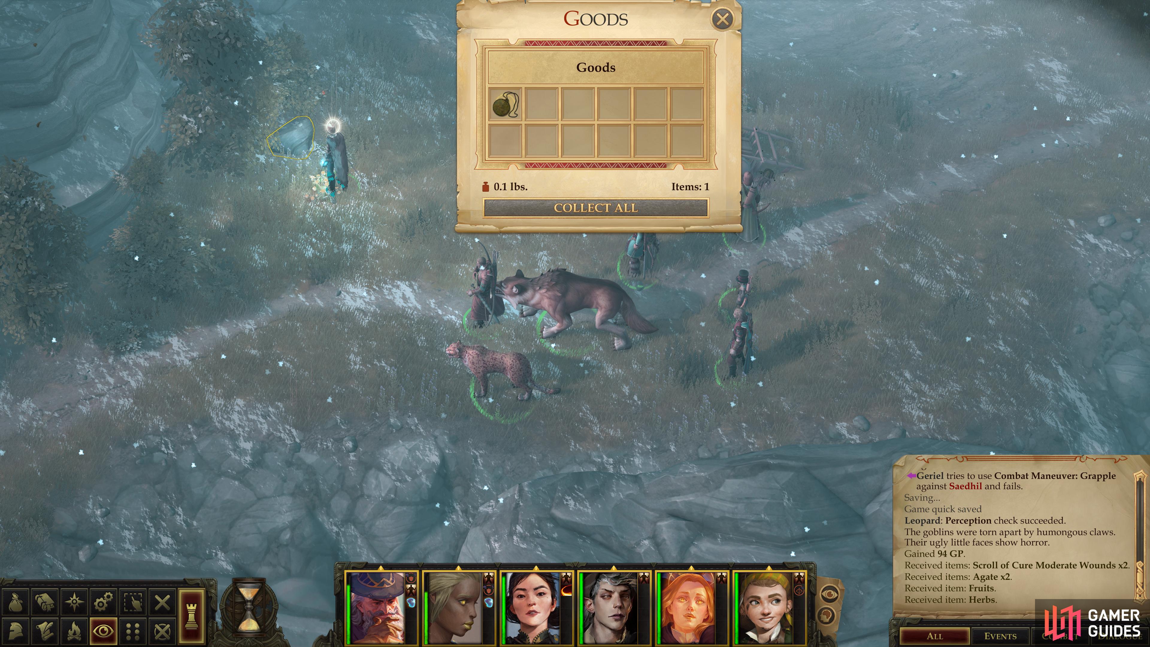 and a "Taldan Warrior's Dog Tag".