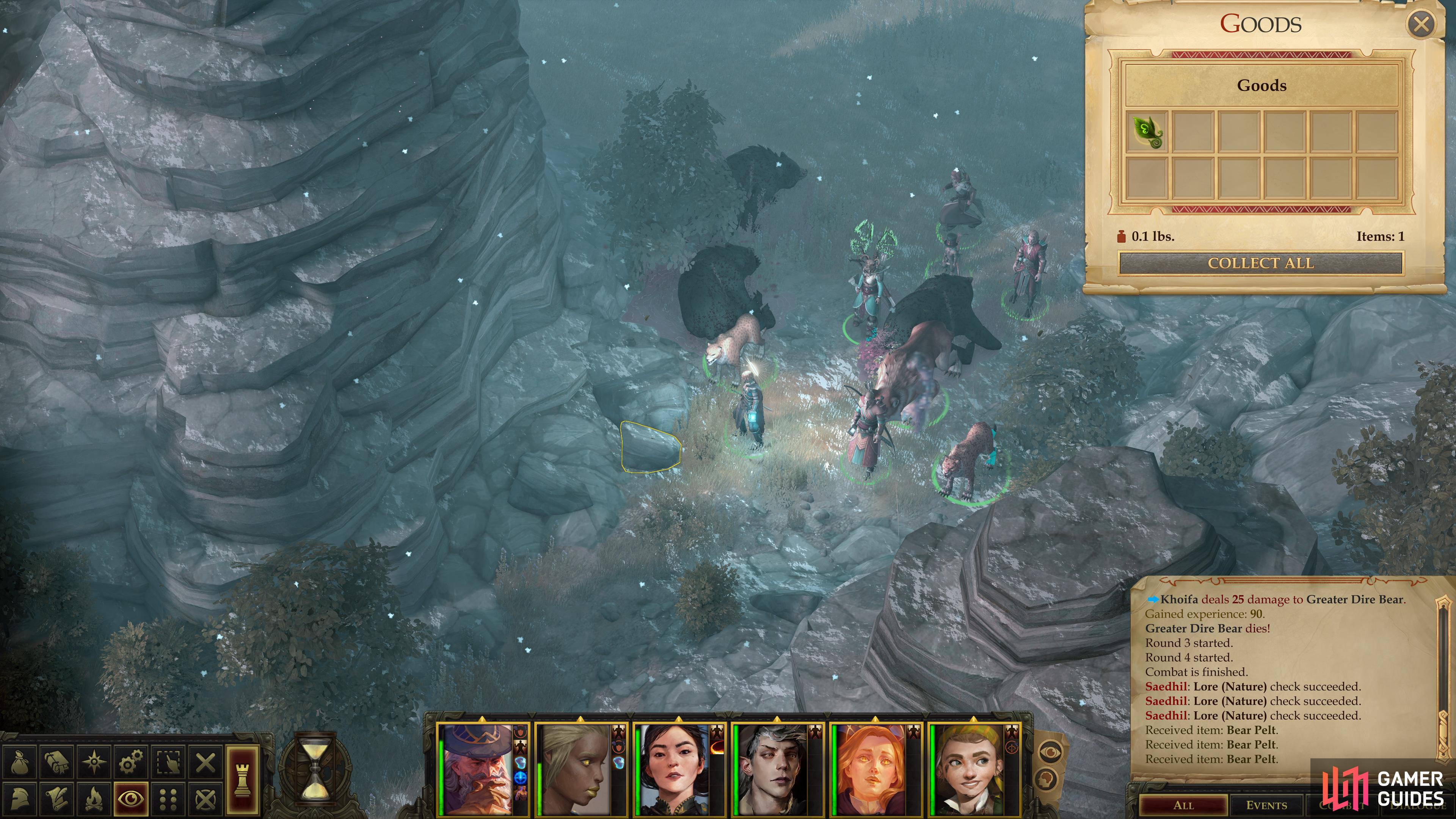 Dispatch the Dire Bears and loot a "Token of the Dryad".