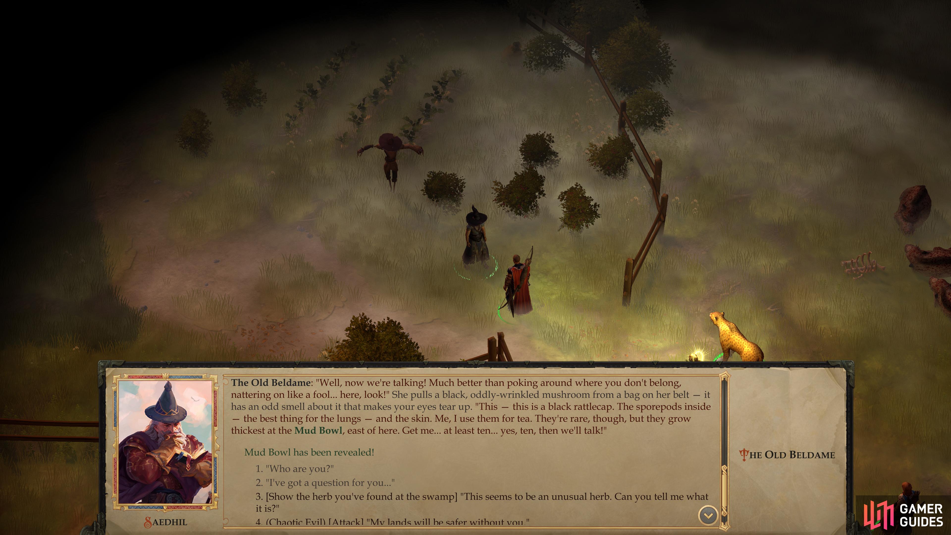 Talking to the Old Beldame is arguably more lucrative than fighting her, as you can pick up the quests "Mushrooms from the Mud Bowl",